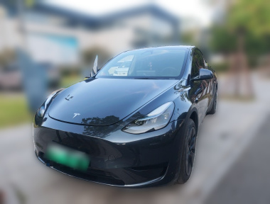 Tesla Model Y 2024 Tesla Model Y 2024 car image