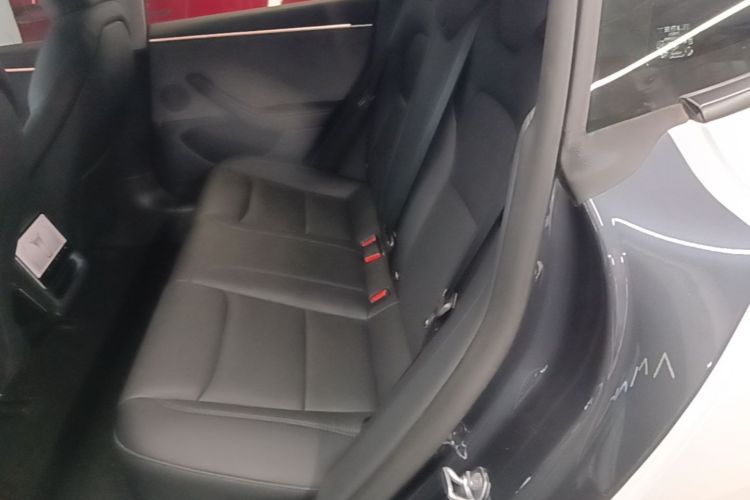 Tesla Model 3 2025 car image #17