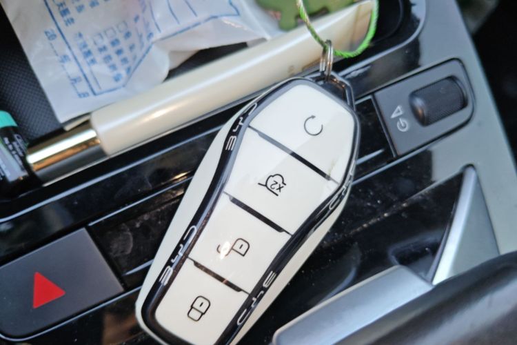 BYD Yuan Pro 2021 car image #9