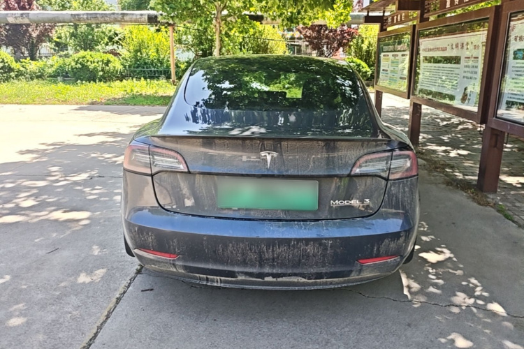 Tesla Model 3 2021 #6 Tesla Model 3 2021 car image #6