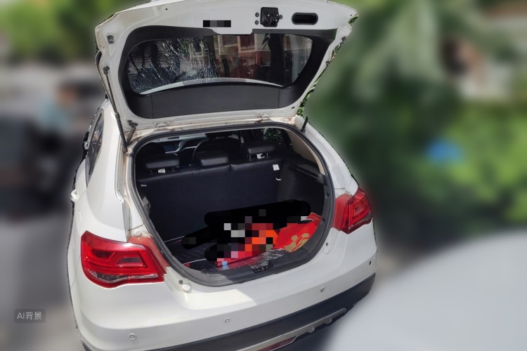 GEELY Emgrand 2017 #21 GEELY Emgrand 2017 car image #21