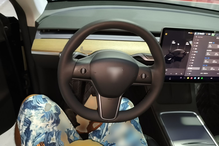 Tesla Model Y 2023 #11 Tesla Model Y 2023 car image #11