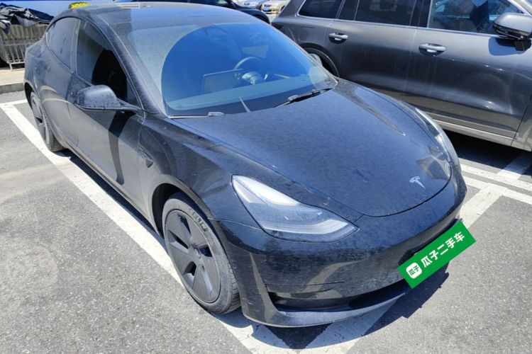 Tesla Model 3 2021 #4 Tesla Model 3 2021 car image #4