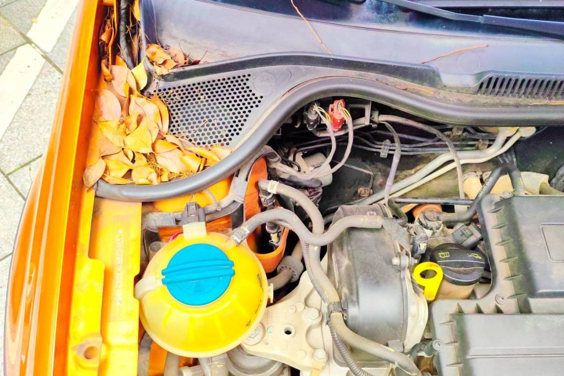 Volkswagen Polo 2015 car image #11