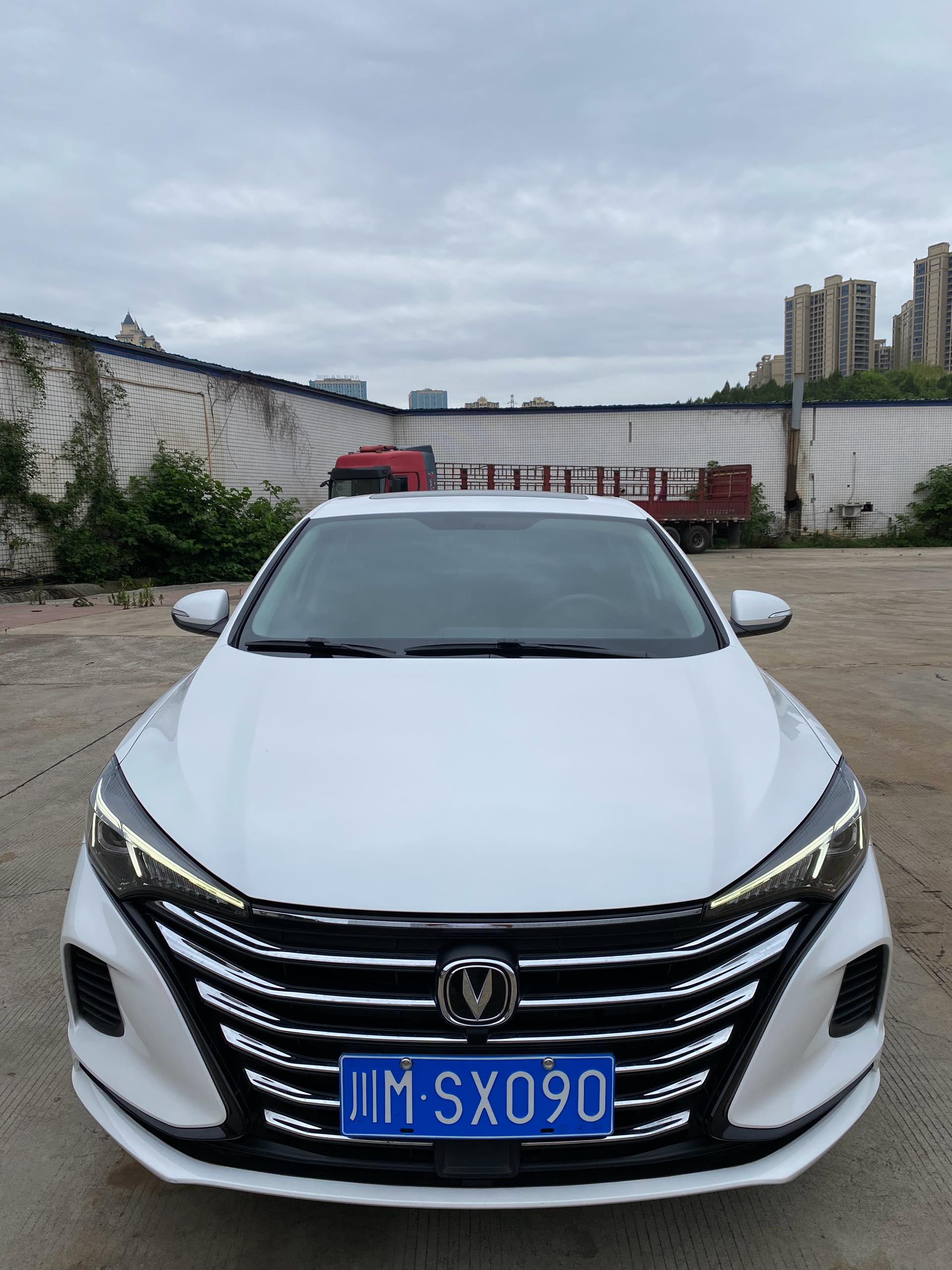 Changan Eado 2023 immagine di auto #2