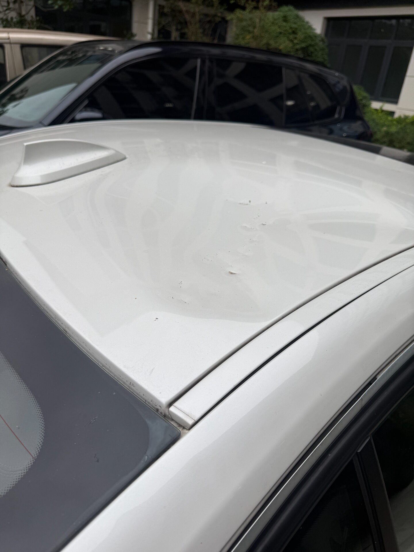 BMW 3 Series 2019 car image #3