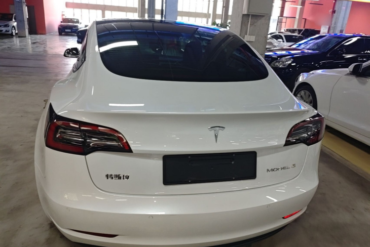 Tesla Model 3 2021 car image #4