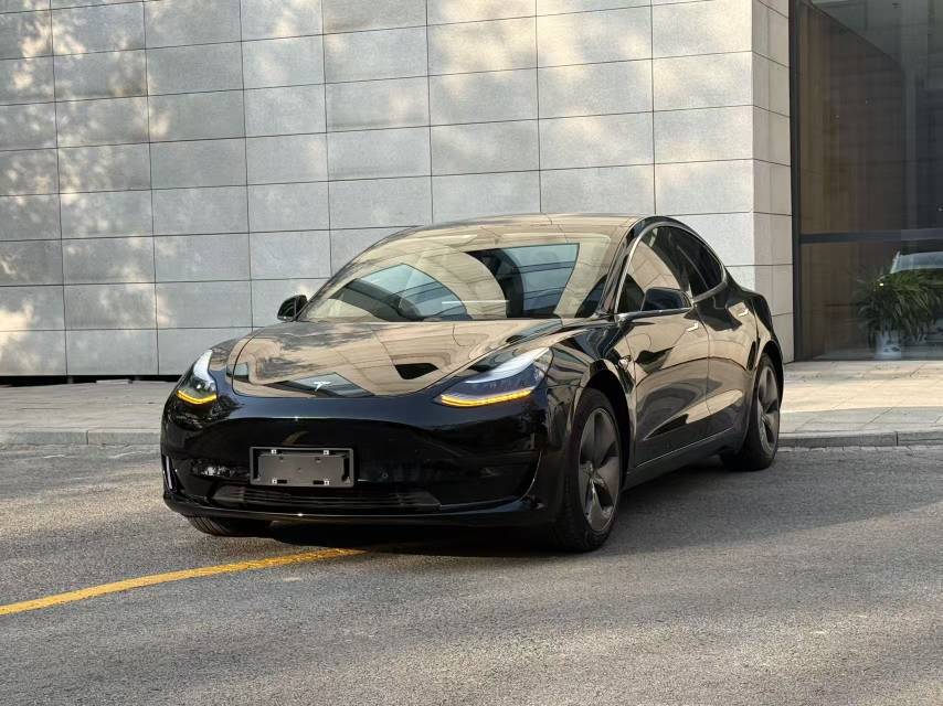Tesla Model 3 2020 Tesla Model 3 2020 immagine di auto