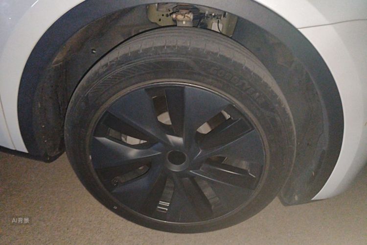 Tesla Model Y 2024 car image #9