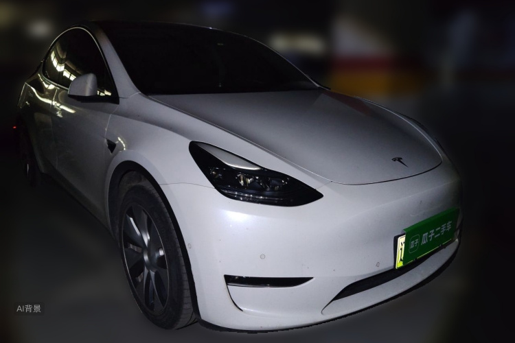 Tesla Model Y 2023 #4 Tesla Model Y 2023 car image #4