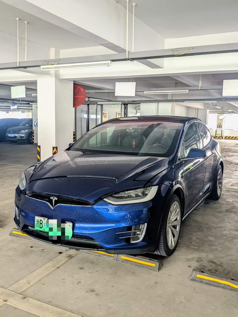 Tesla Model X 2020 Tesla Model X 2020 car image