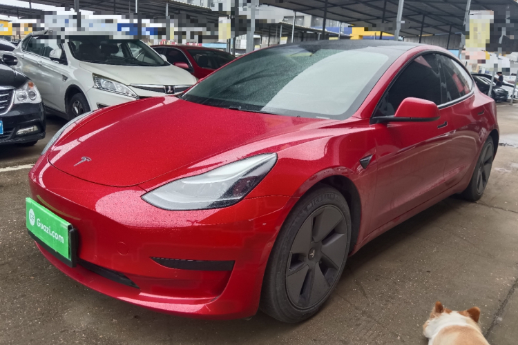 Tesla Model 3 2021 #2 Tesla Model 3 2021 car image #2