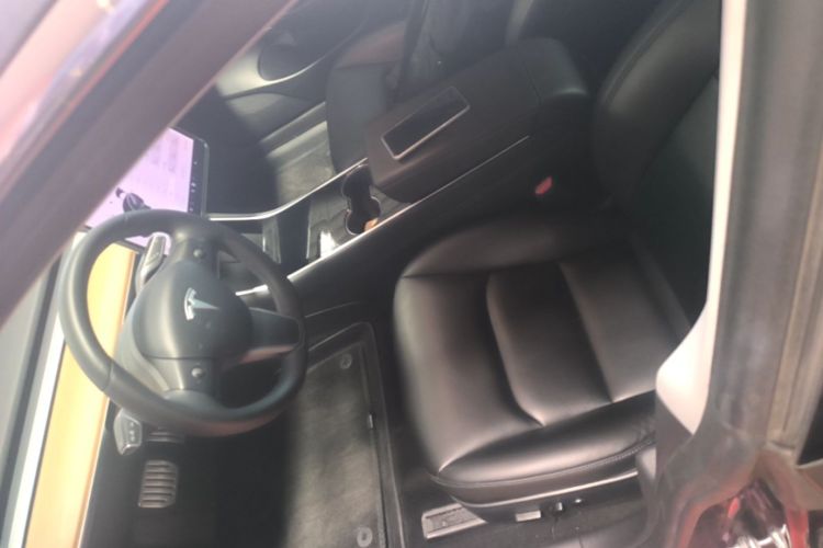 Tesla Model 3 2020 car image #15