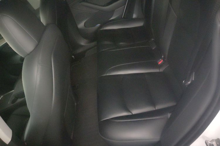 Tesla Model 3 2023 car image #13