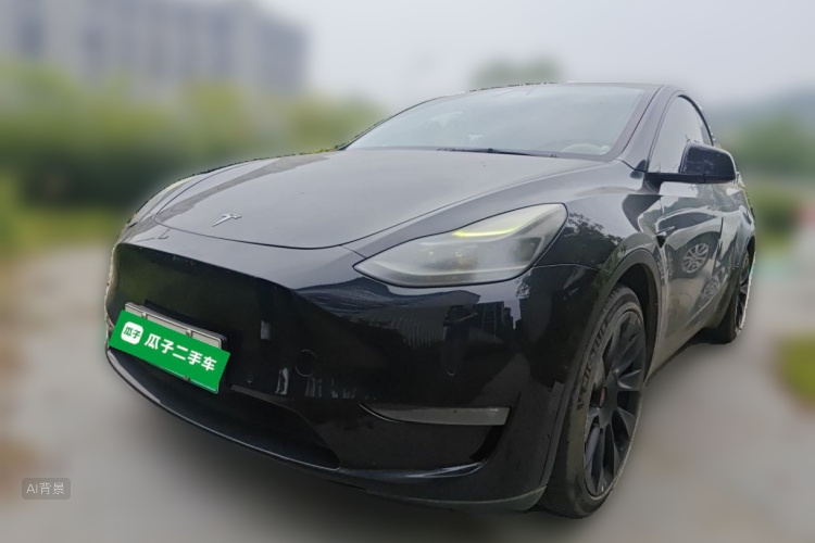 Tesla Model Y 2021 car image #2