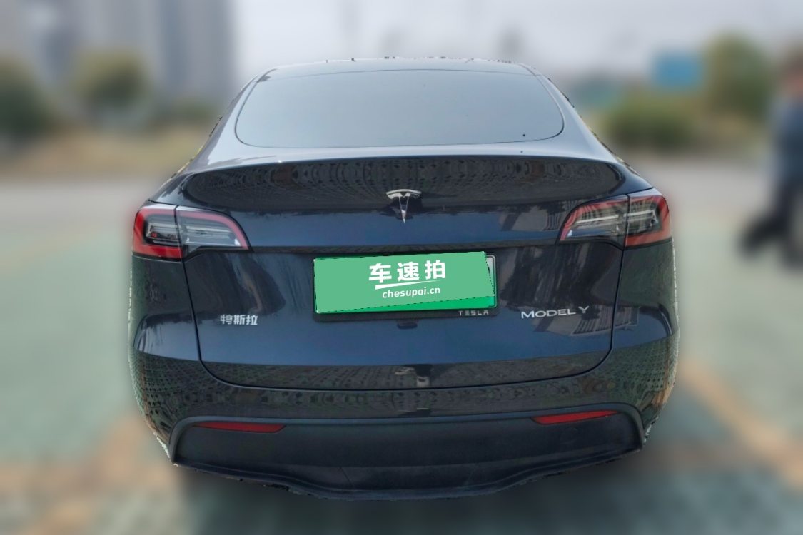 Tesla Model Y 2024 car image #6
