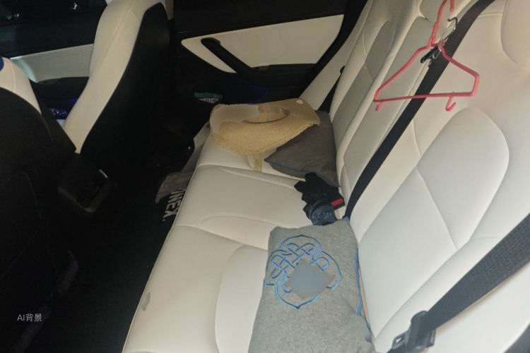 Tesla Model 3 2020 #19 Tesla Model 3 2020 car image #19