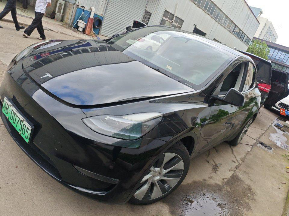 Tesla Model Y 2021 car image 