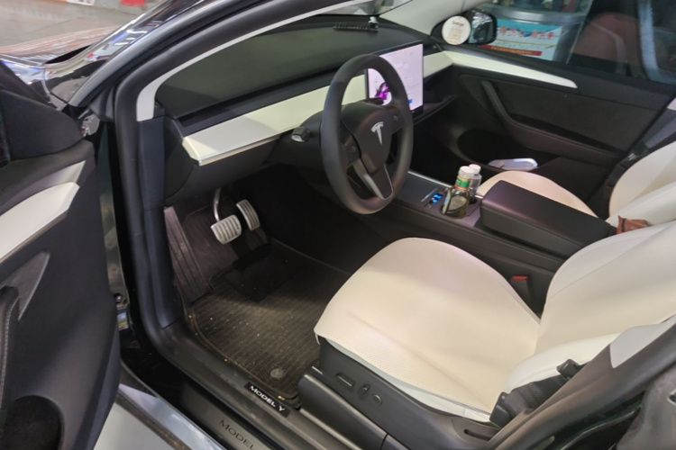 Tesla Model Y 2022 car image #12