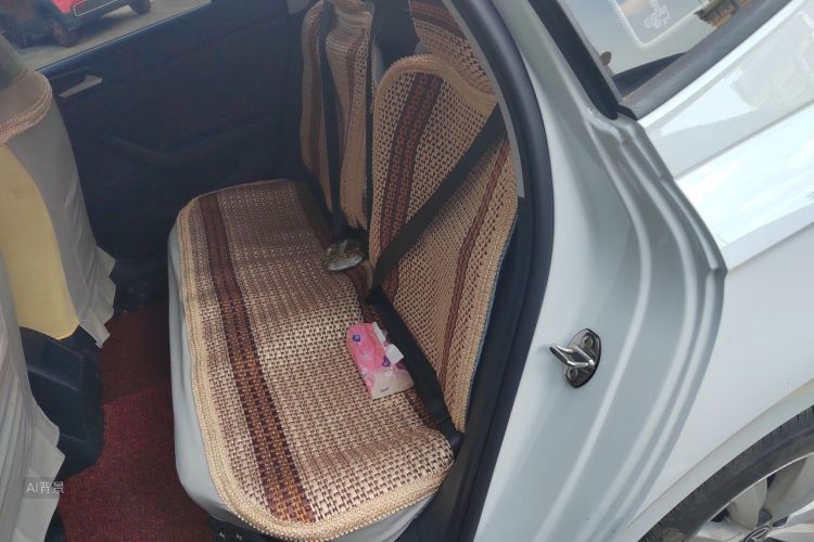 Volkswagen Lavida 2024 car image #19