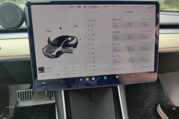 Tesla Model 3 2019 car image #13
