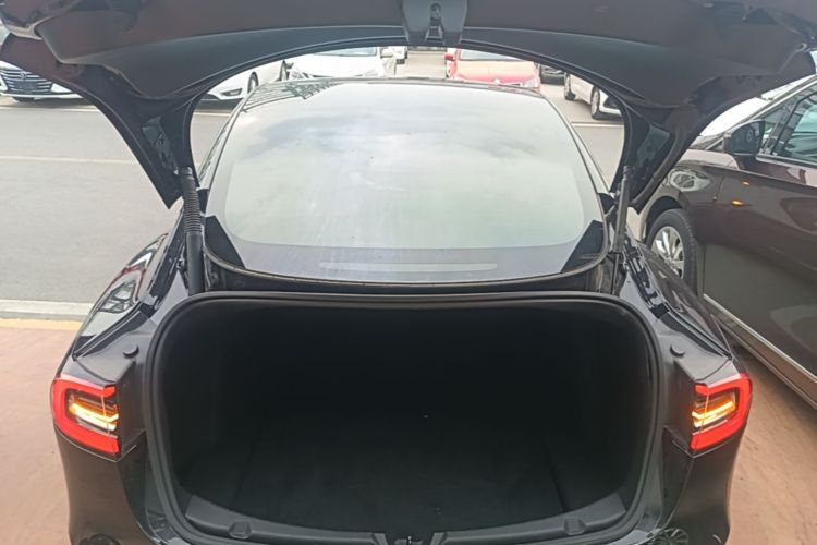 Tesla Model 3 2021 #21 Tesla Model 3 2021 immagine di auto #21