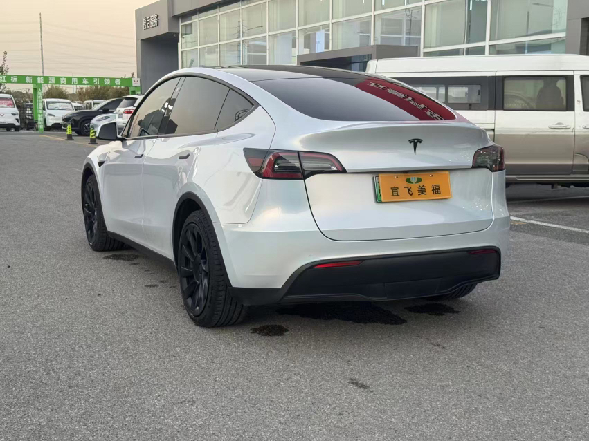 Tesla Model Y 2021 #8 Tesla Model Y 2021 car image #8