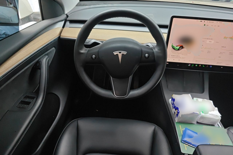 Tesla Model Y 2023 car image #11