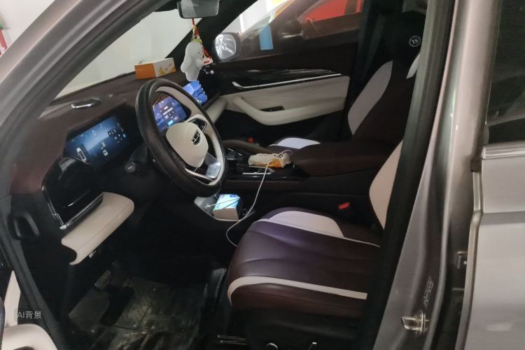 GEELY Monjaro 2023 car image #17