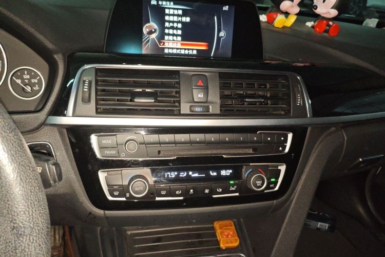 BMW 3 Series 2016 car image #15
