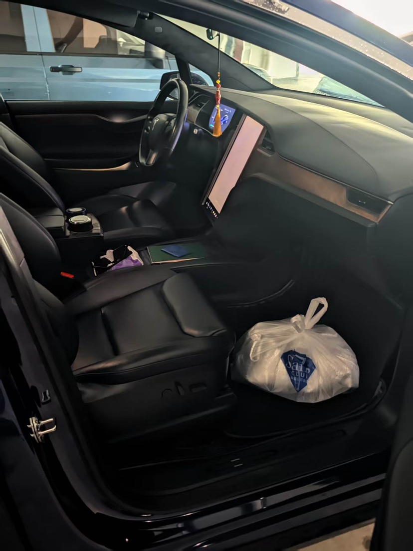 Tesla Model X 2020 #5 Tesla Model X 2020 car image #5