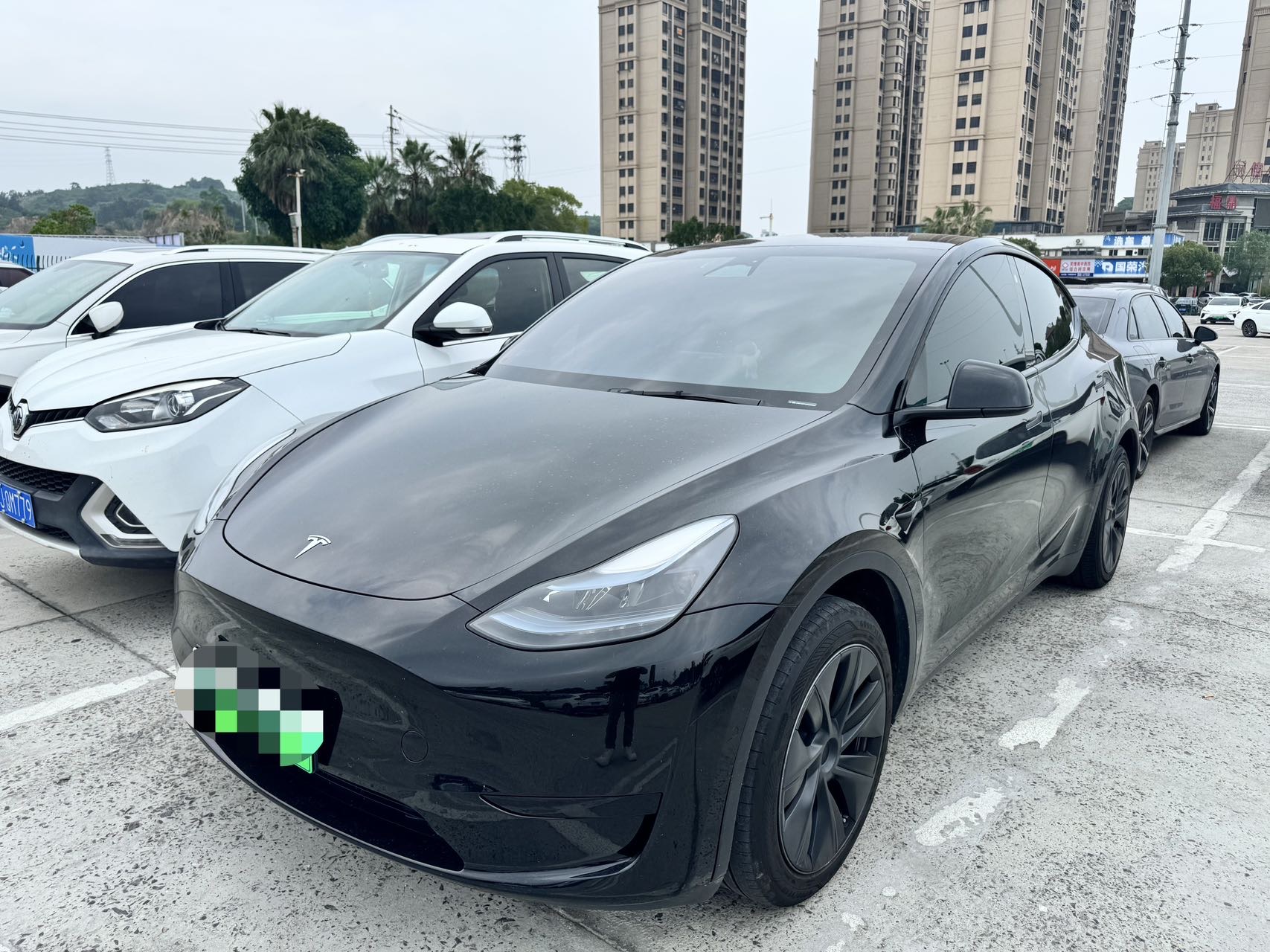 Tesla Model Y 2023 car image 