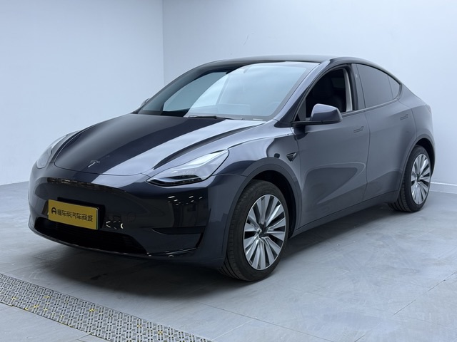 Tesla Model Y 2024 Tesla Model Y 2024 car image