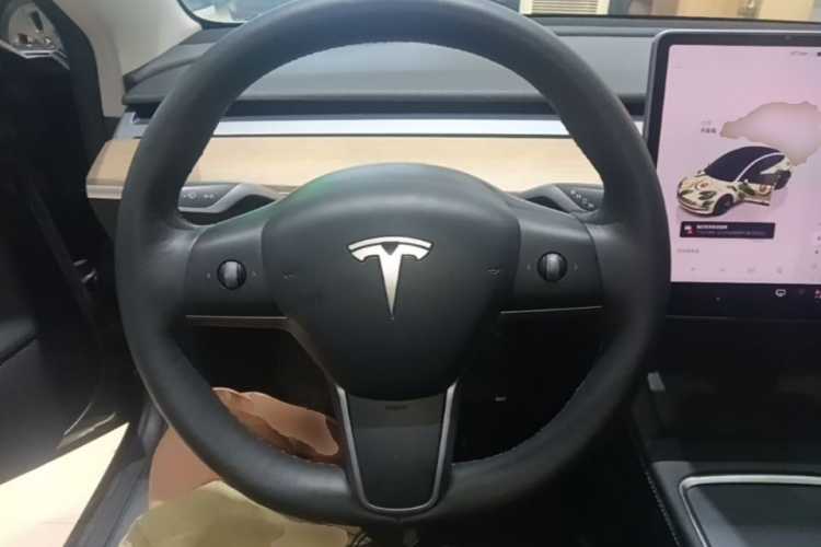 Tesla Model 3 2022 #11 Tesla Model 3 2022 immagine di auto #11