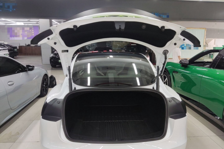 Tesla Model 3 2024 immagine di auto #19
