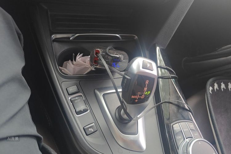 BMW 3 Series 2019 car image #16