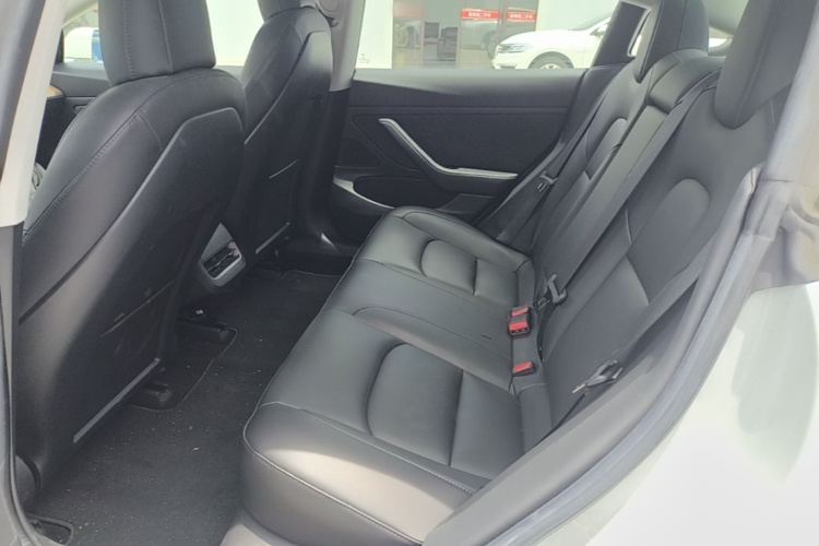 Tesla Model 3 2020 car image #17