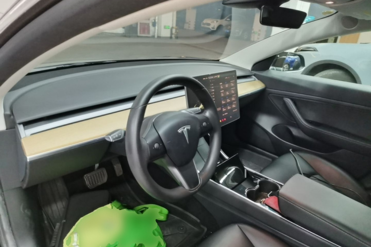 Tesla Model 3 2020 car image #10