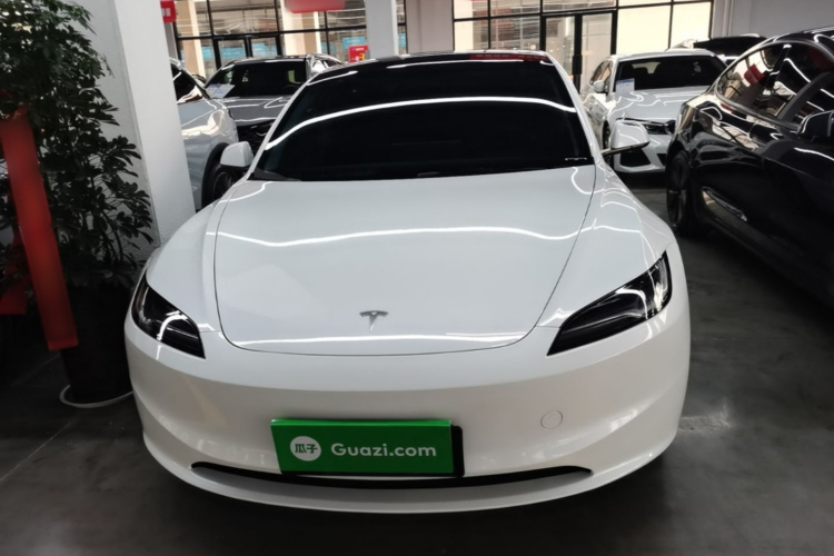 Tesla Model 3 2024 #3 Tesla Model 3 2024 car image #3