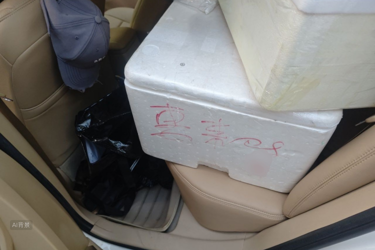 2014 #19 2014 car image #19