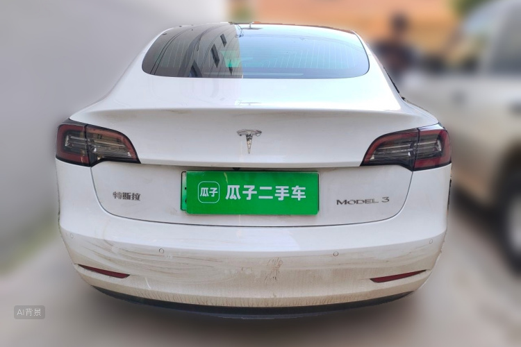 Tesla Model 3 2020 car image #6