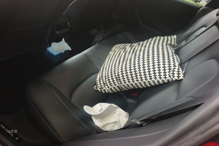Tesla Model 3 2022 car image #19