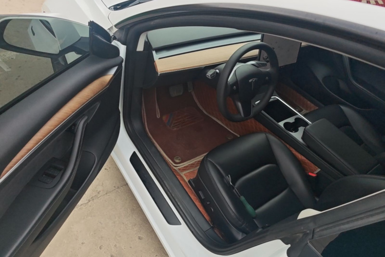 Tesla Model 3 2021 car image #16
