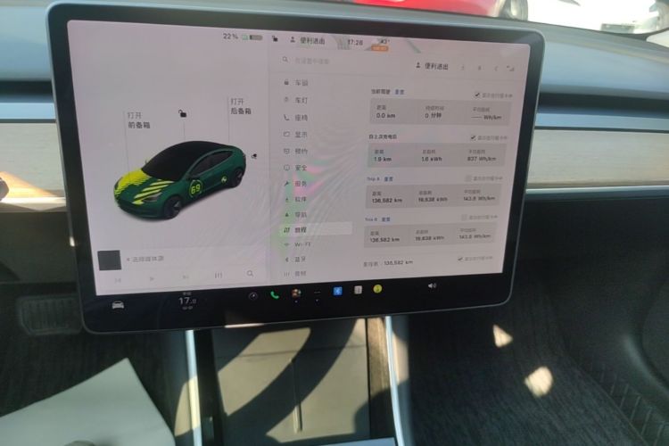 Tesla Model 3 2020 car image #13