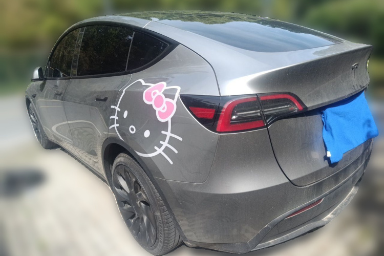 Tesla Model Y 2024 #5 Tesla Model Y 2024 immagine di auto #5