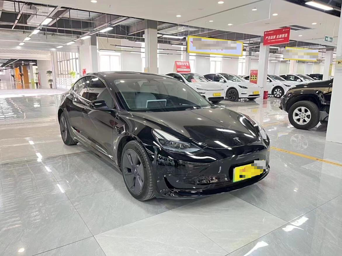 Tesla Model 3 2023 #5 Tesla Model 3 2023 car image #5