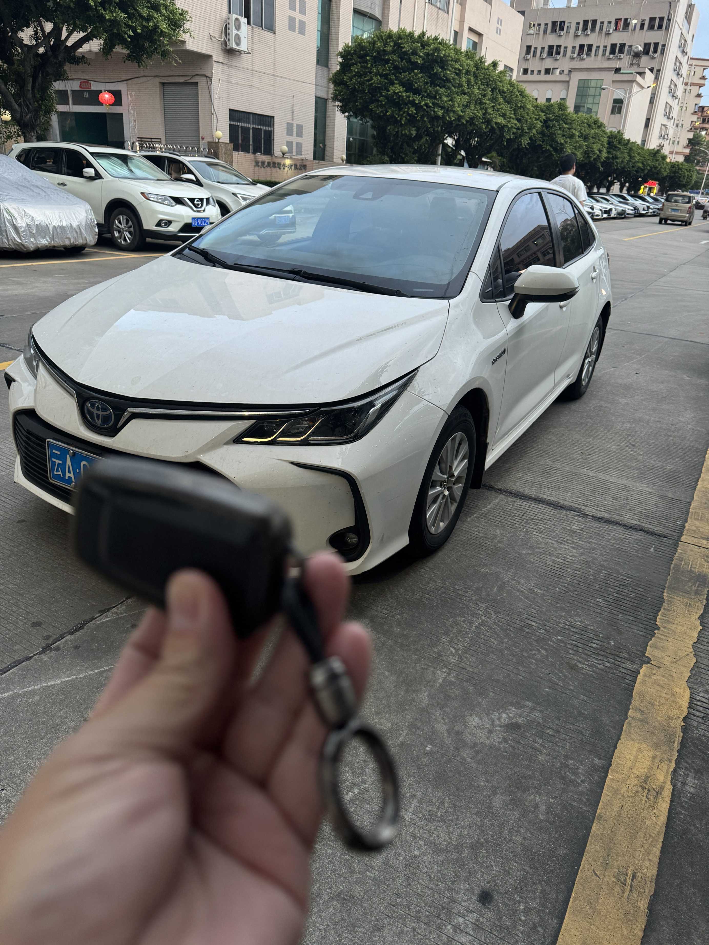 Toyota Corolla 2021 Toyota Corolla 2021 car image