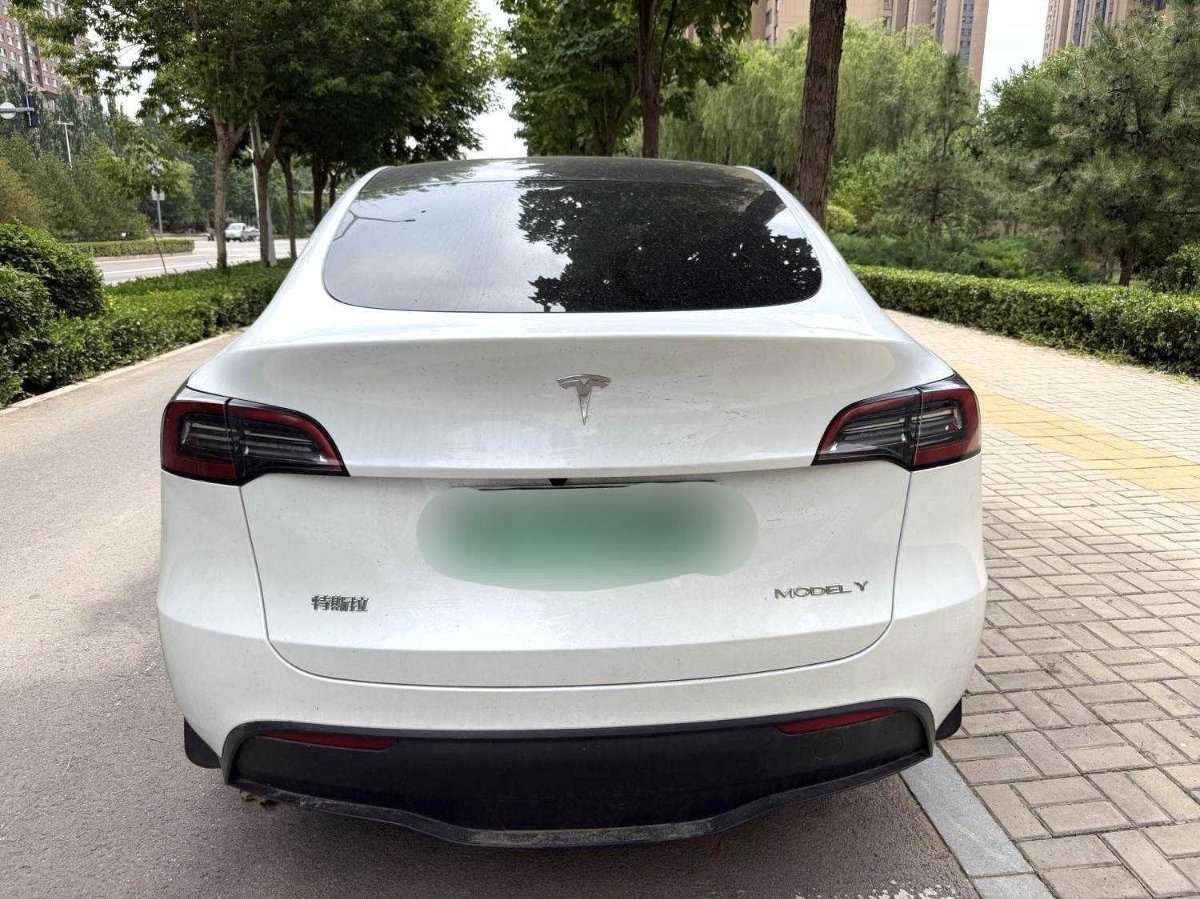 Tesla Model Y 2024 #2 Tesla Model Y 2024 car image #2