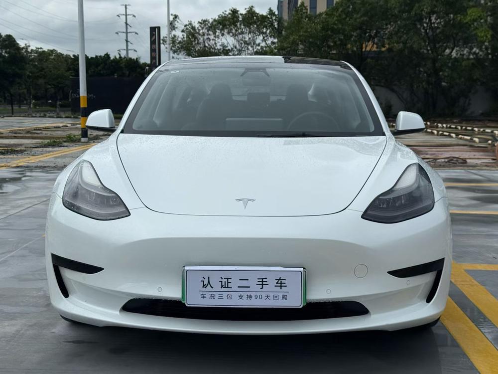 Tesla Model 3 2021 #2 Tesla Model 3 2021 immagine di auto #2