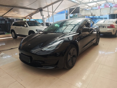 Tesla Model 3 2023 Tesla Model 3 2023 car image